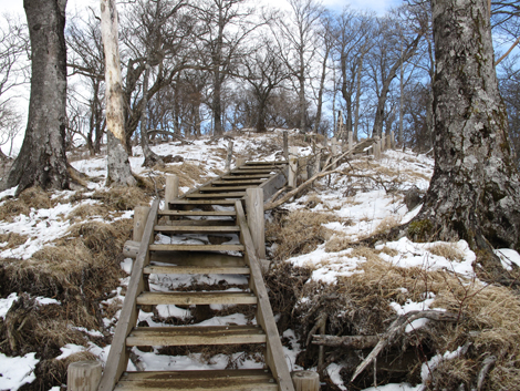 20160218hike (245)